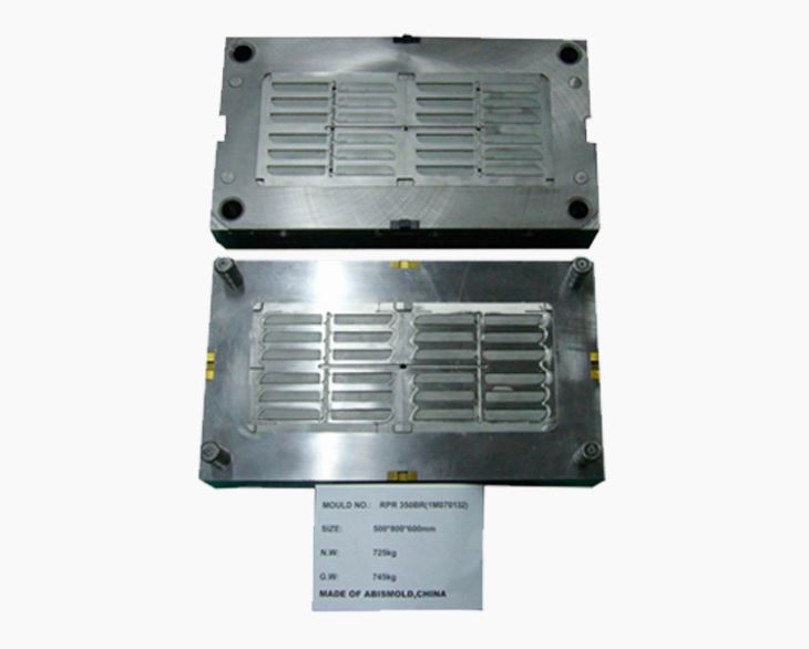 24 cav. plastmasas pelējuma